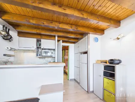 Studio mezzanine 41 m² vue vallée - 50 m des remontées : photo 4
