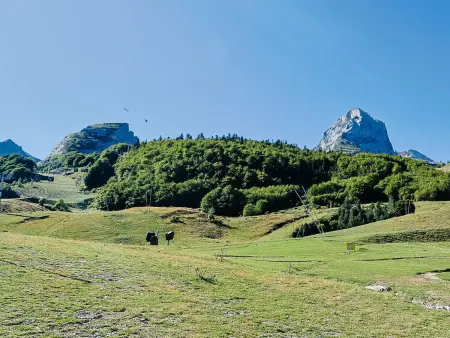 Studio 35m² vue Pyrénées – 6 personnes à Gourette : photo 12