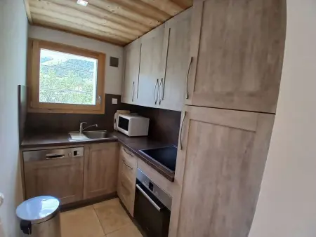 Appartement 6 pers. Vieil Alpe - 50m des pistes : photo 5