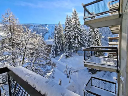 Appartement 2 pièces balcon vue forum à Flaine : photo 12