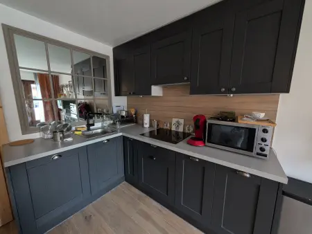 Appartement rénové proche des pistes, parking et animaux : photo 4