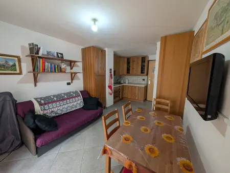 Appartement 2 pièces plein sud, 50m des pistes : photo 2