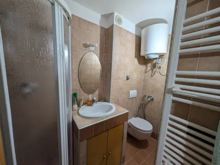 Appartement 2 pièces plein sud, 50m des pistes : photo 5
