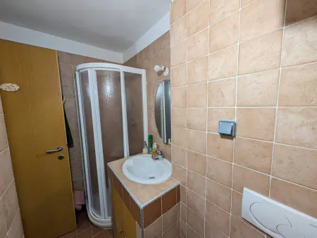 Appartement 2 pièces plein sud, 50m des pistes : photo 10