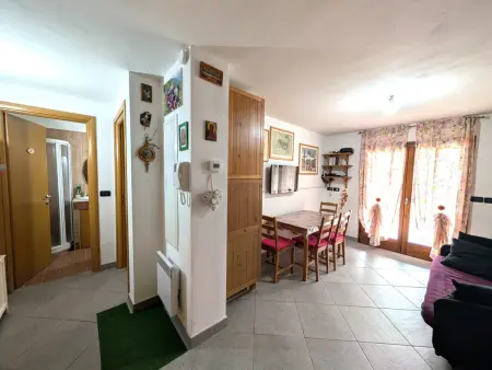 Appartement 2 pièces plein sud, 50m des pistes : photo 12