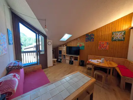 Duplex skis aux pieds, 40m², animaux acceptés : photo 1