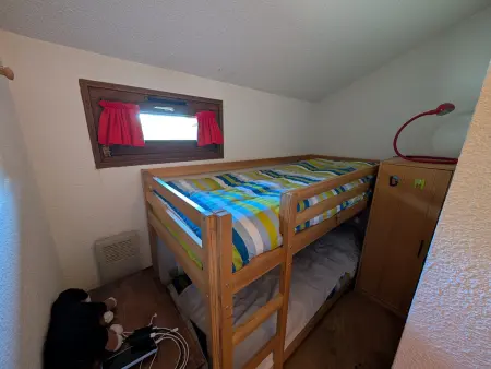 Duplex skis aux pieds, 40m², animaux acceptés : photo 5