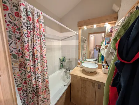 Duplex skis aux pieds, 40m², animaux acceptés : photo 6