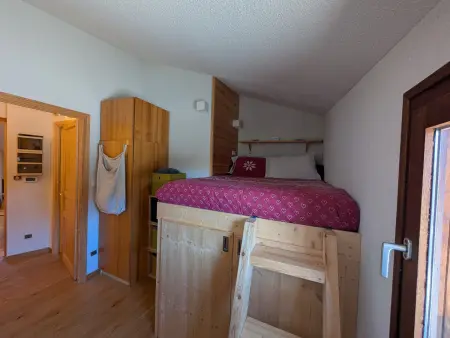 Duplex skis aux pieds, 40m², animaux acceptés : photo 8