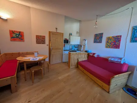 Duplex skis aux pieds, 40m², animaux acceptés : photo 9