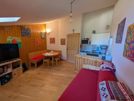 Duplex skis aux pieds, 40m², animaux acceptés : photo 10