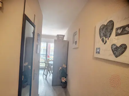 Studio 17 m² avec balcon à Lamalou-les-Bains, animaux OK : photo 6