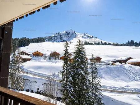 Appartement 4 pers. vue pistes au Chinaillon : photo 12