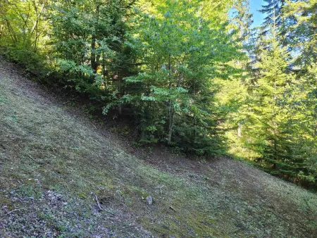 Studio 4 pers. à 80m des pistes - Pra-Loup : photo 6