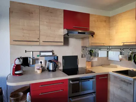 Appartement 42 m² vue montagne à Pra-Loup, 4 pers. : photo 9