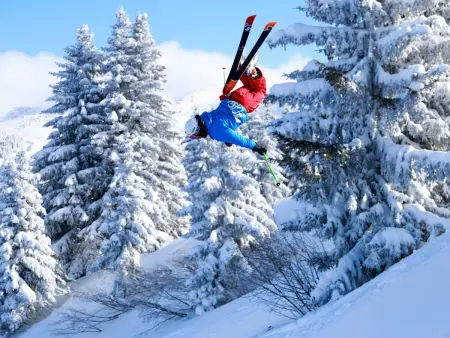 Studio cabine Cohennoz, vue Mont Charvin - 4 pers. : photo 22