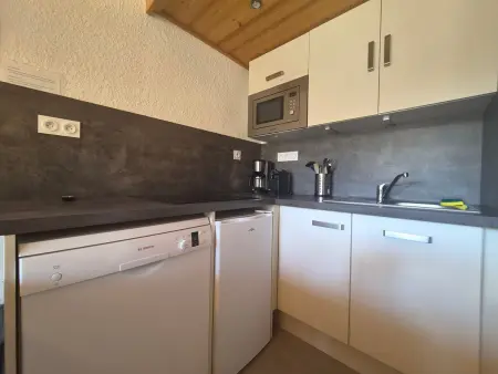 Duplex 6 pers. aux Deux Alpes, pied des pistes : photo 3