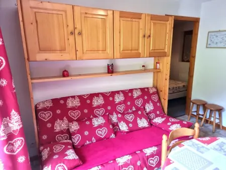 Appartement 2 pièces skis aux pieds à Saint-Jean-d'Aulps : photo 10