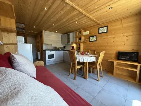 Studio mezzanine rénové, terrasse solarium aux Saisies : photo 2