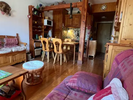 Appartement 2 pièces Samoëns, animaux OK, vue montagnes : photo 4