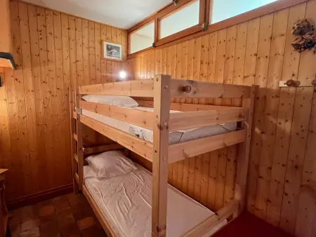 Appartement 2 pièces Samoëns, animaux OK, vue montagnes : photo 9
