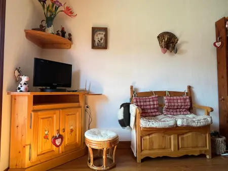 Appartement 2 pièces Samoëns, animaux OK, vue montagnes : photo 13