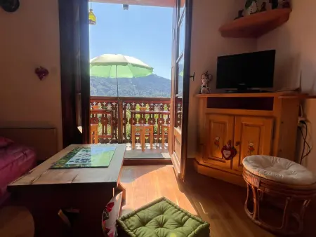 Appartement 2 pièces Samoëns, animaux OK, vue montagnes : photo 14