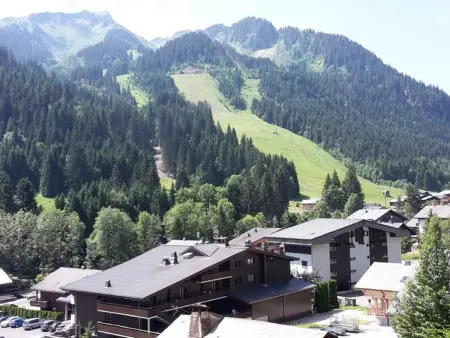 T2 Mezzanine 5 pers. à 650m du Linga - Châtel : photo 8