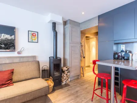 Appartement 55m² poêle à bois, accès direct pistes : photo 3