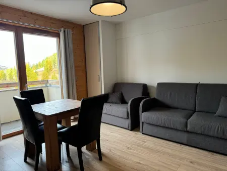 Studio 30m² vue forêt et pistes de ski à Vars : photo 2