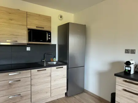 Studio 30m² vue forêt et pistes de ski à Vars : photo 4