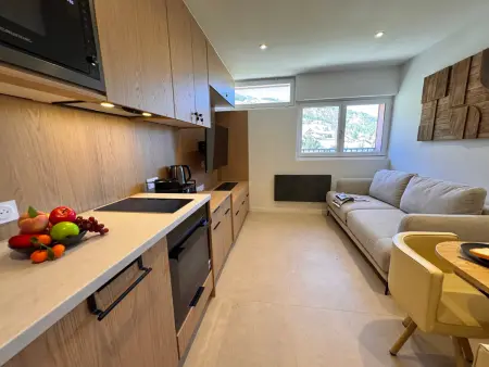 Appartement 23 m² au cœur de Vars, 4 pers., proche pistes : photo 3