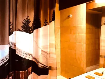 Duplex 45 m² lumineux, 6 pers. - 300 m centre Les Gets : photo 11