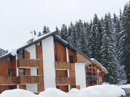 Appartement 2 pièces pieds des pistes aux Gets : photo 16