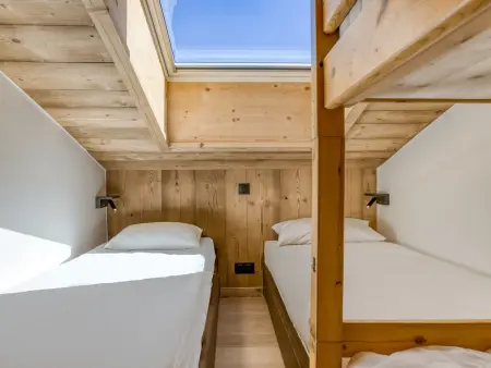 Duplex vue Mont-Blanc, ski aux pieds aux Saisies : photo 9