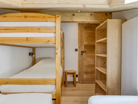 Duplex vue Mont-Blanc, ski aux pieds aux Saisies : photo 10