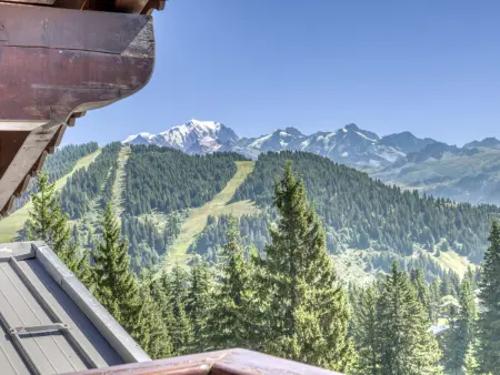 Duplex vue Mont-Blanc, ski aux pieds aux Saisies : photo 14