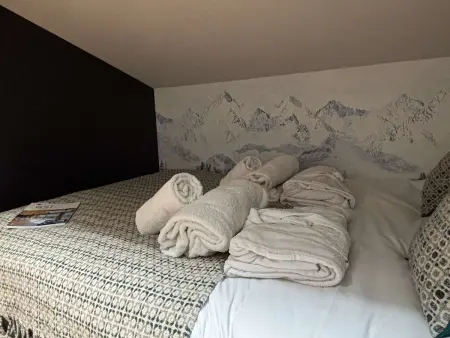 Appart 10 pers. 4 chambres vue Beaufortain + spa : photo 12