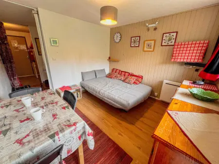 Studio vue pistes 18e étage - Besse-et-Saint-Anastaise : photo 3
