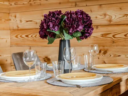 Appartement rénové accès direct pistes - Belle Plagne : photo 6