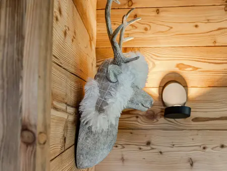 Appartement rénové accès direct pistes - Belle Plagne : photo 9