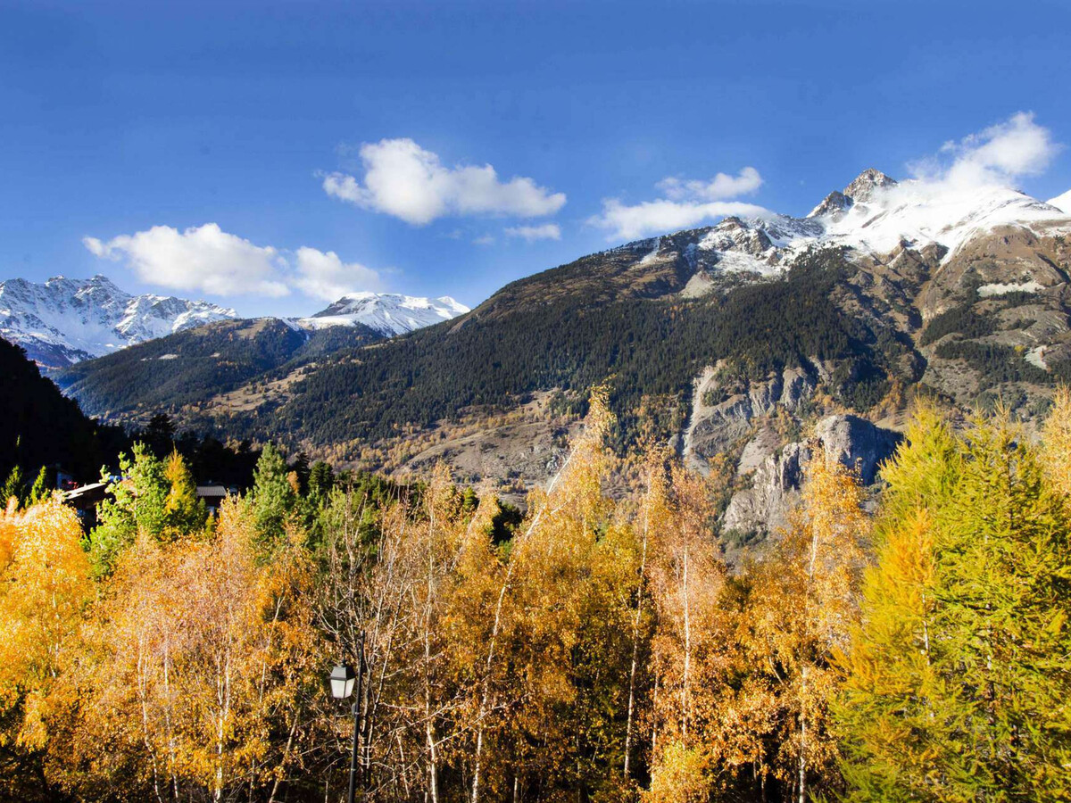Studio 4 pers. balcon vue montagne, animaux OK - Photo 6