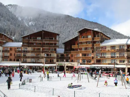 Studio 21m² vue montagne avec balcon, animaux OK : photo 9