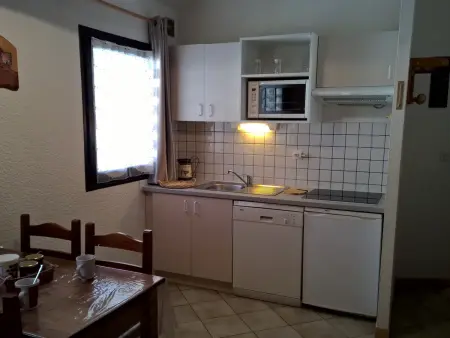 Appartement 2 pièces 35m² avec animaux - Villarodin-Bourget : photo 2