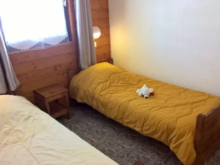 Appartement 2 pièces 35m² avec animaux - Villarodin-Bourget : photo 4