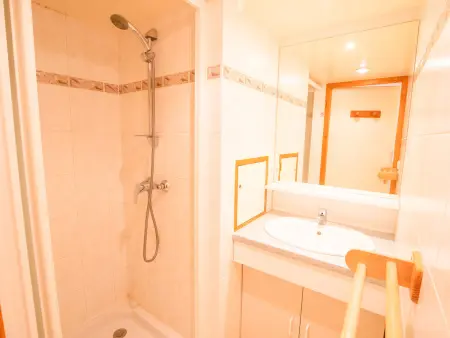 Appartement 3 pièces 6/8 pers. avec animaux à Villarodin-Bourget : photo 4