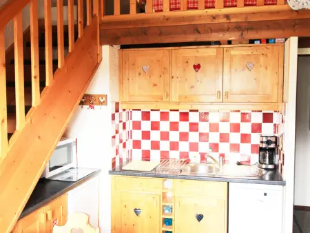 Appartement 2 pièces mezzanine, 500m des pistes : photo 2