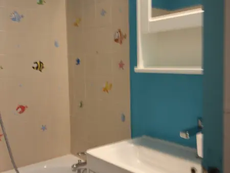 Appartement 2 pièces vue piste à Villarodin-Bourget : photo 5