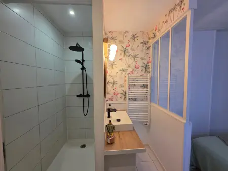 Appartement 1 chambre à 15 min des thermes : photo 12