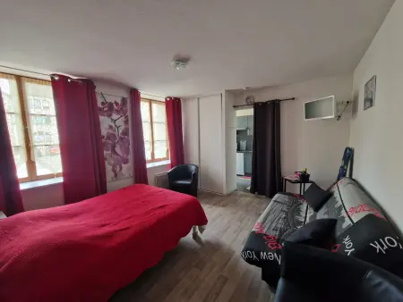 Appartement T2 centre-ville, animaux acceptés : photo 2